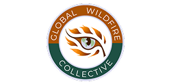 Global wildfire