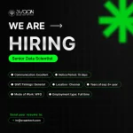 Senior Data Scientist